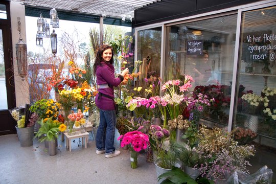 Drivstua blomster jul